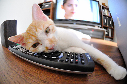 亚洲魔术师的加冕礼，李刚仁压制级演出，令塞维利亚与厄瓜多尔尖刀同时窒息