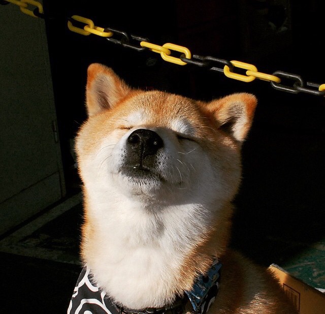 孤岛英雄，当欧文的火焰点燃了广厦的冷夜