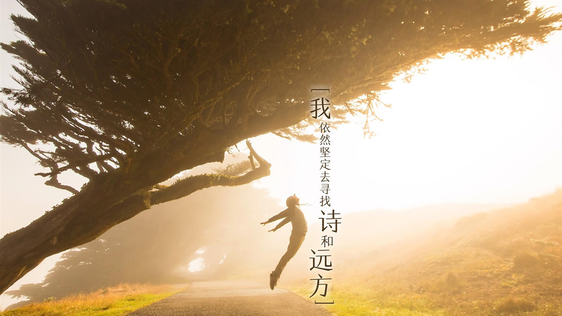 2026世界杯黑马之战,德国狂飙碾压哥斯达黎加,莫德里奇压哨绝杀书写不老传奇
