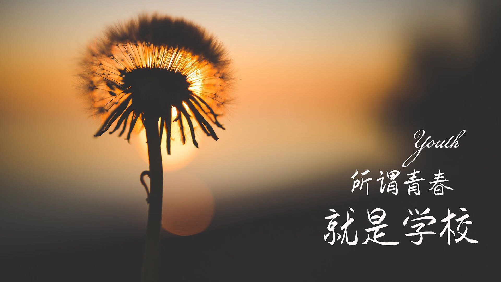 命运的交错,2026世界杯揭幕战,孙兴慜的孤勇与伊朗的逆袭
